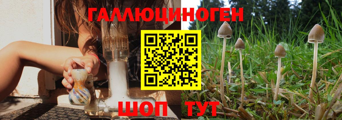 Галлюциногенные грибы Cubensis Люберцы